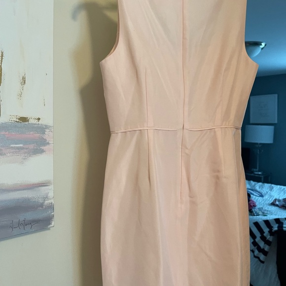 JCrew stunning NWT Dress LAST CHANCE! - Picture 4 of 5